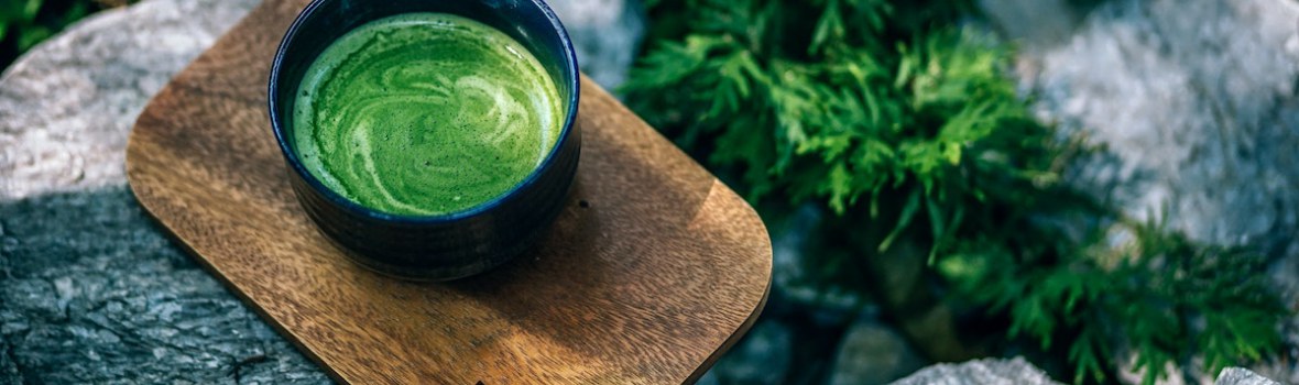 herbata moringa